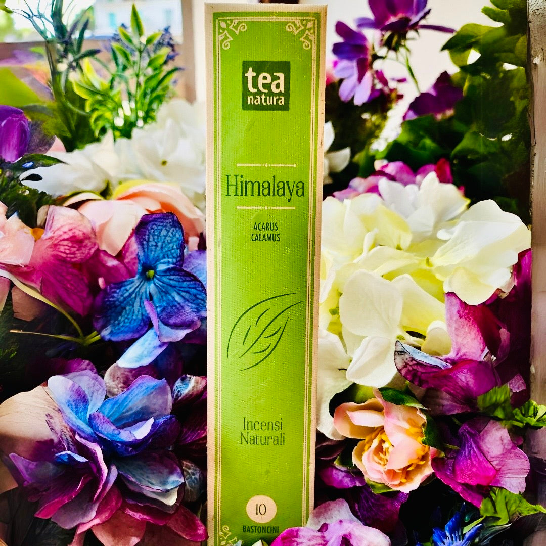 Tea Natura-Incenso Himalaya 10 bastoncini