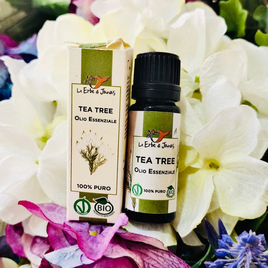 Erbe di Janas-Olio Essenziale di Tea Tree BIO