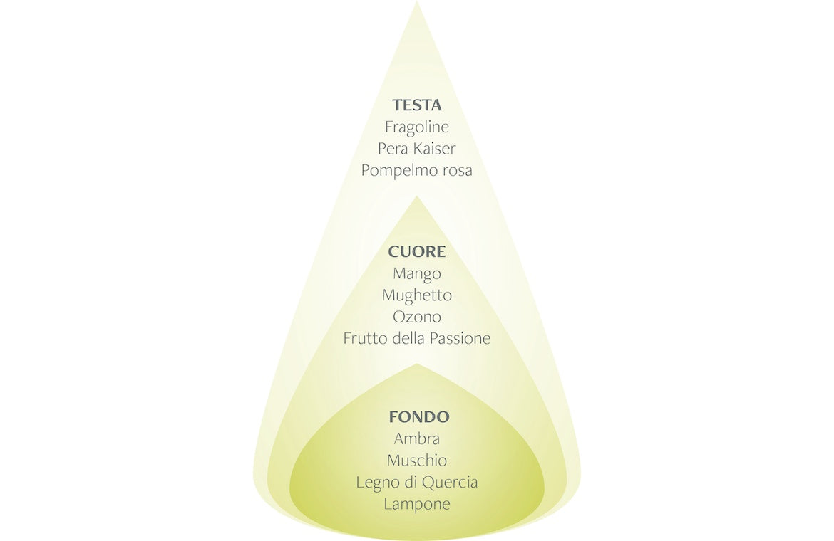 Nasoterapia-Candela profumata  Pera Kaiser e Legno di Quercia