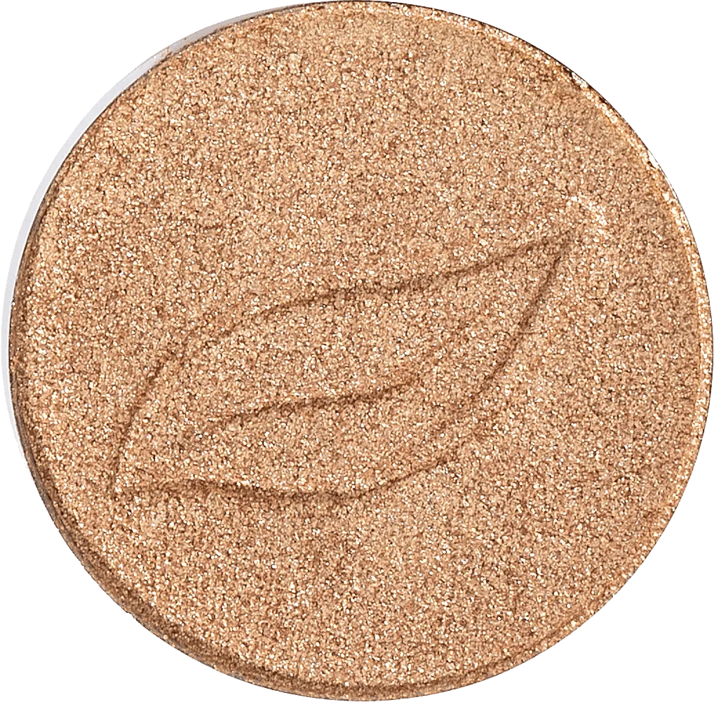Puro Bio-Ombretto in Cialda – Champagne 01